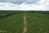  County Road 428 - Photo 3