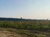  Mink Branch Road - Photo 12