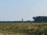  Mink Branch Road - Photo 13