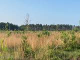  Mink Branch Road - Photo 15