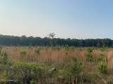  Mink Branch Road - Photo 16