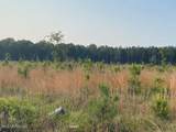  Mink Branch Road - Photo 17