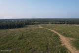  Mink Branch Road - Photo 7