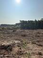  Co Rd 309 - Photo 14