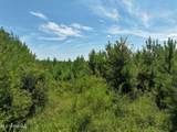 3+/- Highway 11 - Photo 7