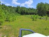 0 0 Us 49 Highway - Photo 3
