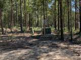 18200 Lazy Oaks Trail Trail - Photo 5