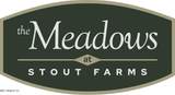  Stout Meadows Lane - Photo 2