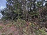  Mclaurin Street - Photo 6