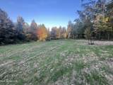0 St. Thomas Parkway - Photo 15