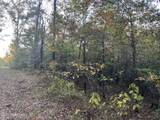 0 St. Thomas Parkway - Photo 8