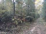 0 St. Thomas Parkway - Photo 9