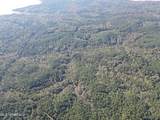 0 Carver Point Road - Photo 13