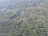 0 Carver Point Road - Photo 16