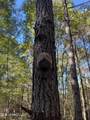 0 Carver Point Road - Photo 20