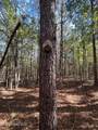 0 Carver Point Road - Photo 29