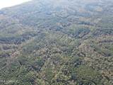 0 Carver Point Road - Photo 9