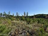  Off Highway 65 - Photo 3