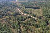  Off Highway 65 - Photo 6