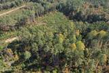  Off Highway 65 - Photo 9