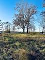 0 E/S Lake Mary Road - Photo 2