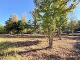  Stout Farms Drive - Photo 5