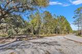 4009 Orange Grove Road - Photo 3