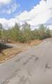  Kit Maples Road - Photo 6