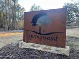  Springwood Trail - Photo 1