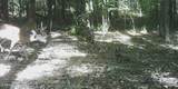 590 247 Country Road - Photo 23