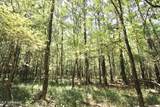 1603 Holly Bush Rd Road - Photo 4