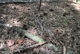 1603 Holly Bush Rd Road - Photo 5