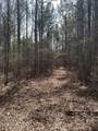 0 Cauthen Road - Photo 3