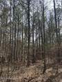 0 Cauthen Road - Photo 4