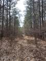 0 Cauthen Road - Photo 7