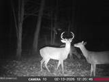 4577 Bluff Road - Photo 56