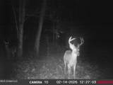 4577 Bluff Road - Photo 59