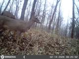 4577 Bluff Road - Photo 60