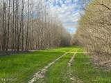 Fogg Road - Photo 9