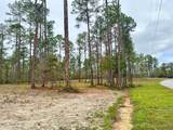 3.81 Acre Cowart Holliday Road - Photo 4