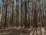  Hickory Ridge Road - Photo 5