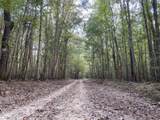  Big Cedar Creek Road - Photo 1
