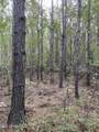  Big Cedar Creek Road - Photo 16
