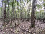  Big Cedar Creek Road - Photo 3