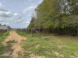 2509 Bogue Chitto Road - Photo 18