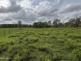 2509 Bogue Chitto Road - Photo 20