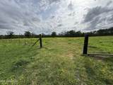 2509 Bogue Chitto Road - Photo 28