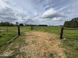 2509 Bogue Chitto Road - Photo 48