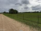 2509 Bogue Chitto Road - Photo 6