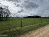 2509 Bogue Chitto Road - Photo 8